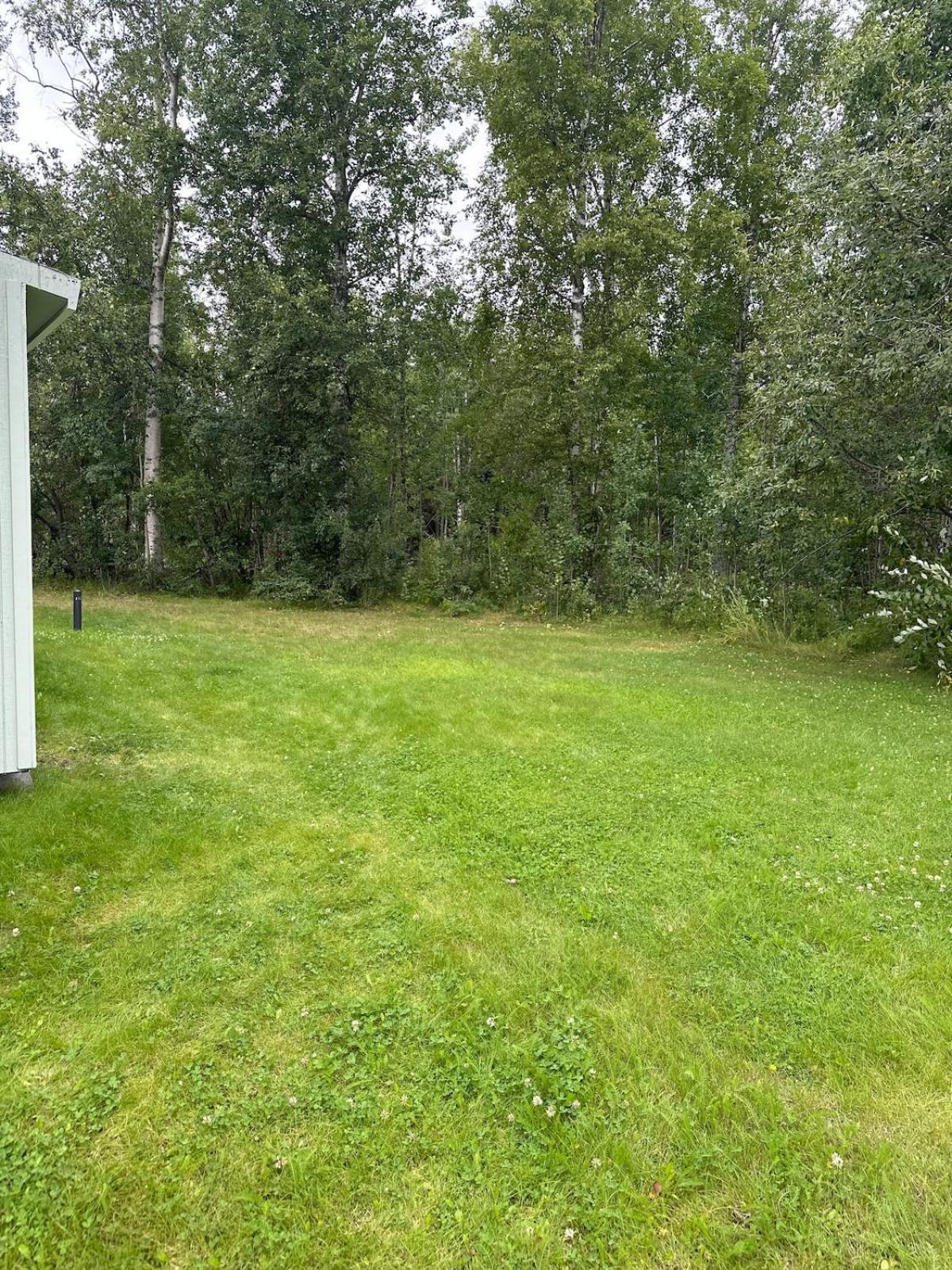 Cloud Nine Cottage Big Lake Esterno foto